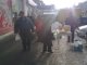 Фото: У Полтаві організовано сільськогосподарський ярмарок