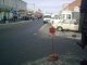 Фото: У Полтаві організовано сільськогосподарський ярмарок