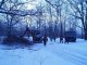 Фото: Полтавські депутати допомогли волонтерам розчистити Дендропарк