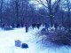 Фото: Полтавські депутати допомогли волонтерам розчистити Дендропарк