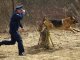 Фото: У Полтаві до Євро-2012 службових собак спеціально тренують шукати наркотики та терористів