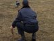 Фото: У Полтаві до Євро-2012 службових собак спеціально тренують шукати наркотики та терористів