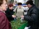 Фото: У Полтаві на ярмарку продають саджанці екзотичних дерев