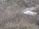 Фото: У Полтаві суботники закінчилися, а сміття залишилося