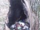 Фото: Як прибирали Співоче поле та берег Ворскли у Полтаві