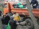 Фото: 600 учнів прибирали полтавський Дендропарк