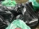 Фото: 600 учнів прибирали полтавський Дендропарк
