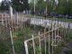 Фото: У Полтаві пройшли поминальні дні