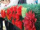 Фото: У Полтаві поклали квіти до протитанкової гармати