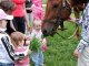 Фото: Хворих дітей у Полтаві почали лікувати їздою верхи на конях