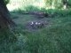 Фото: Як полтавці відпочивають поблизу ставків, що на Садах