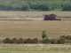 Фото: У Полтаві - жнива
