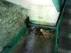 Фото: Ремонт п’ятиповерхівки у Полтаві за триста тисяч