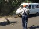 Фото: У Полтаві після ДТП авто не могли визволити з-під стовпа