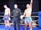 Фото: Кубок Президента з тайбоксу: Маілов знову чемпіон