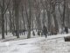 Фото: Сьогодні полтавці ховалися від снігу під парасольками