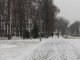 Фото: Сьогодні полтавці ховалися від снігу під парасольками