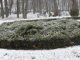 Фото: Сьогодні полтавці ховалися від снігу під парасольками