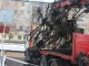 Фото: У Полтаві урочисто спалили новорічну ялинку: фото та подробиці