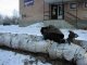 Фото: Полтавським безхатченкам ніде грітися взимку