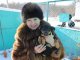 Фото: Чотирилапі безхатькі у Полтаві замерзають від холоду