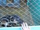 Фото: Чотирилапі безхатькі у Полтаві замерзають від холоду