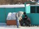 Фото: Чотирилапі безхатькі у Полтаві замерзають від холоду