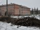 Фото: У Полтаві рубають тополі, люди протестують