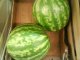 Фото: Зарядитись вітамінами: скільки коштують овочі та фрукти у Полтаві