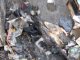 Фото: Власниця одного з трьох кіосків, що згоріли протягом місяця на полтавському ринку, має доказ підпалу