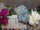 Фото: У Полтаві відкрилася «Планета Hand Made»(фото)