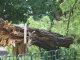 Фото: Фотофакт. Негода руйнує в Полтаві дерева
