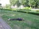 Фото: Де в Полтаві можна виспатись безкоштовно (фотофакт)