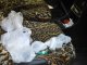 Фото: У Полтаві водій маршрутки збував наркотики при пасажирах (фото)