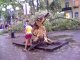Фото: У Полтаві по центральній вулиці старе дерево упало на авто
