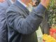 Фото: Микола Азаров розстався з грошима на ярмарку у Сорочинцях (фоторепортаж)