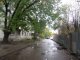 Фото: У Полтаві можуть знести алею каштанів та збудувати ринок біля жилих будинків (фото)