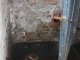Фото: Через мороз у Полтаві заливає підвал багатоповерхівки (фото)