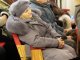 Фото: У Полтаві пройшов вечір пам’яті В‘ячеслава Чорновола