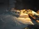 Фото: У Полтаві живуть рептилії з усіх куточків світу (фото)