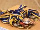 Фото: У Полтаві розпочався чемпіонат України з пауерліфтингу