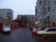 Фото: Біля полтавської багатоповерхівки отруїли собак, за якими доглядав увесь будинок