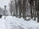 Фото: Зимова погода дісталася Полтави (фото)