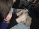 Фото: У Полтаві майбутніх ветеринарів закликали долучитись до волонтерства – допомагати чотирилапим (фото)