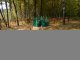 Фото: У полтавських лісах можна цивілізовано відпочивати