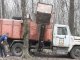Фото: У Полтаві суботник: міськвиконком прибирав ліс без мера (фото)
