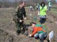 Фото: Полтавські журналісти посадили 2 гектари лісу