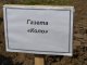 Фото: Полтавські журналісти посадили 2 гектари лісу