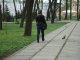 Фото: Весна у Полтаві: мотоциклісти під дощ дивували перехожих (фото)