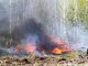 Фото: Лісники в Полтаві тренувалися боротися з вогнем. Фотоогляд.